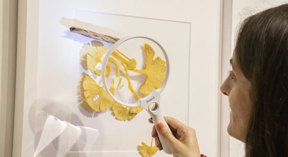 Kunst in der Max54 Gallery © a3kultur/mav