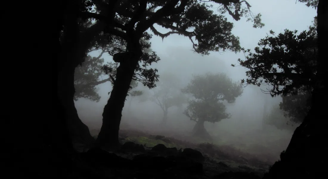 Karen Irmer, Hauch/breath, Videoinstallation, 2014, Auflage: 5+1 © Foto: Karen Irmer