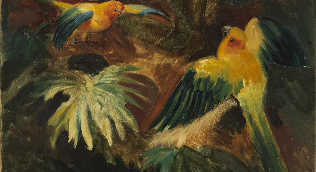 Abenteuer Brasilien Kunstsammlungen und Museen Augsburg