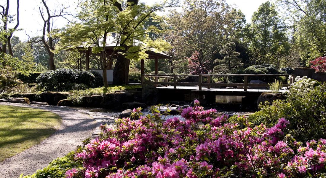 Japanischer Garten © Botanischer Garten / Stadt Augsburg