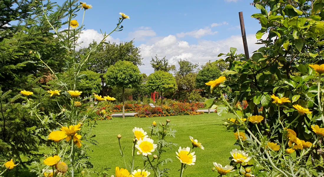 Sommeraussicht Botanischer Garten Stadt Augsburg