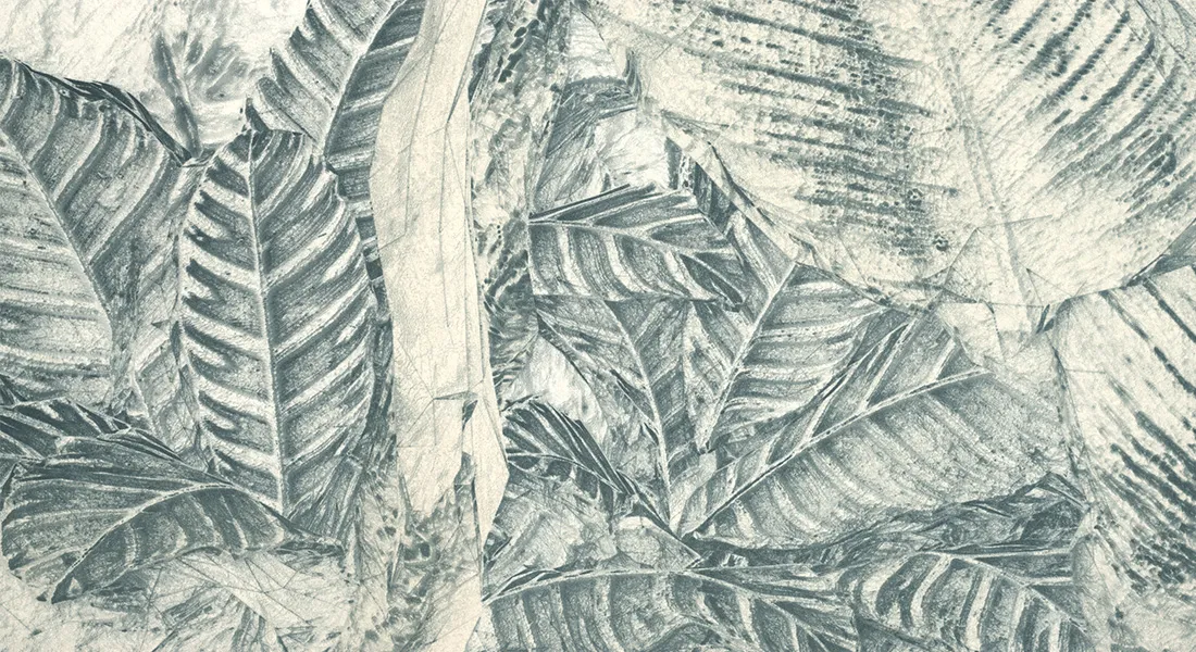 Augsburg contemporary Artificial Jungle Raw