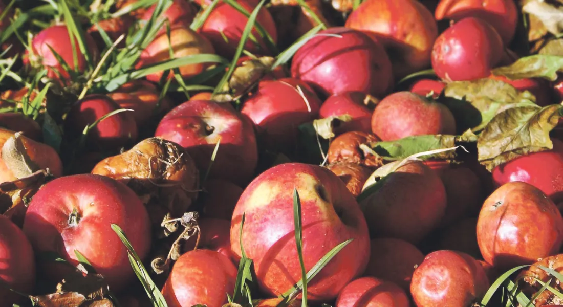 Äpfel Apple