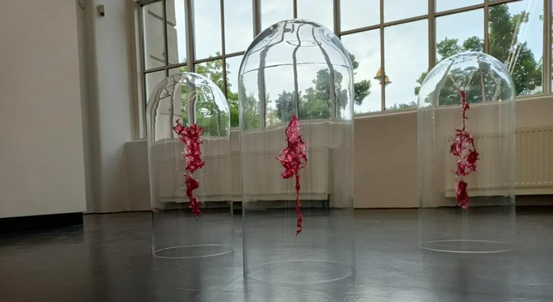 Installation Algen Glaskuppeln von Nina Radelfahr