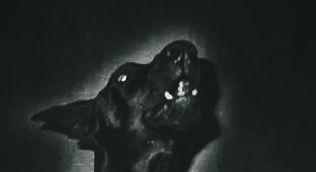 Fotodiskur Christa Näher Subreal