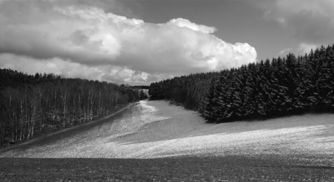Naturfotografie von Wilfried Edelmann