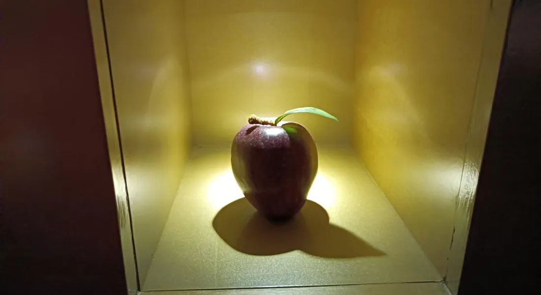Ein künstlicher Apfel in einer Scan-Box