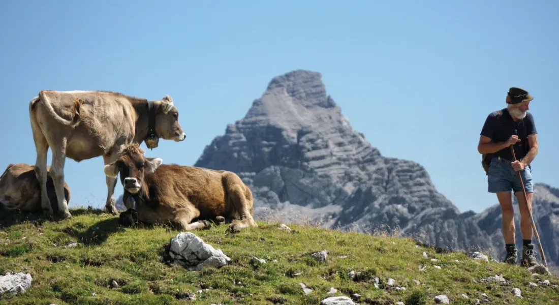 Die Alpe Wengen auf dem Koblat. Foto: Markt Bad Hindelang/Wolfgang B. Kleiner