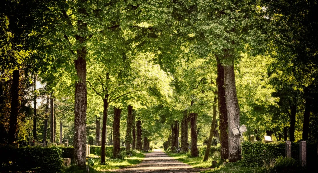 Friedhof