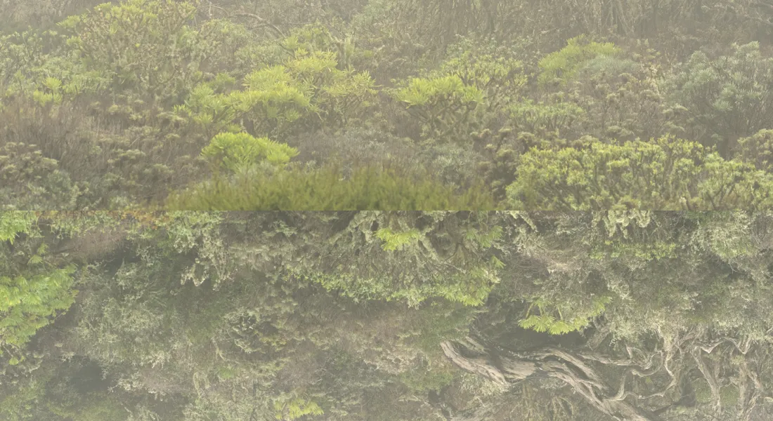 Karen Irmers »darüberhinaus« ist sowohl im Kunstverein als auch in der Ecke Galerie zu sehen.