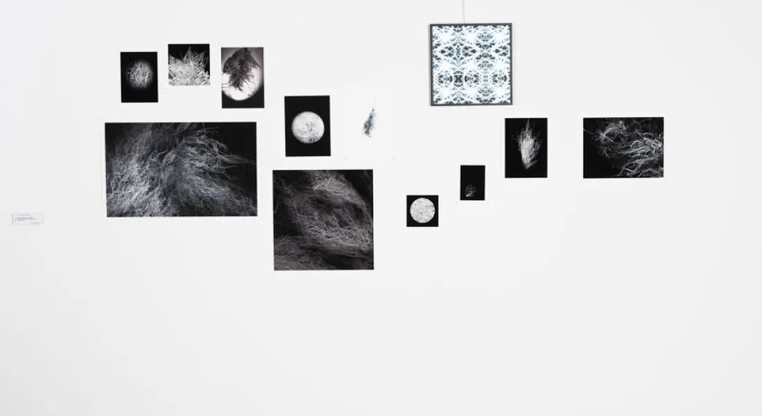 Adi Hoesle, Neuronal Patterns © W. Mennel