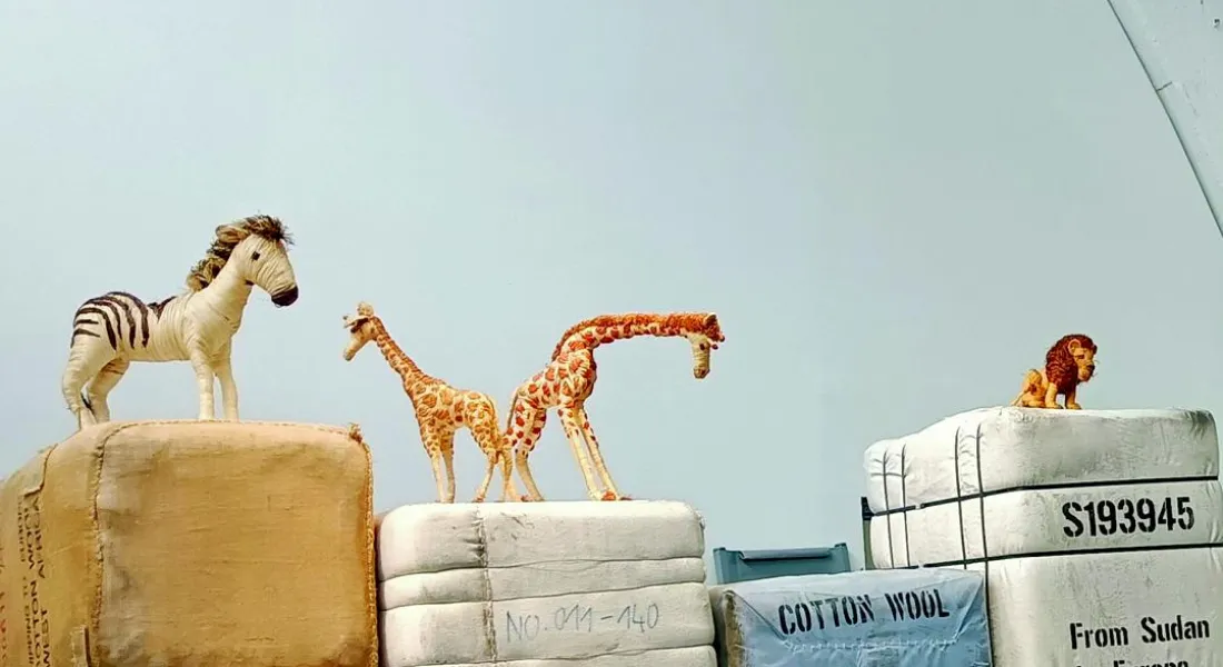 Tiere im Tim