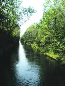 Kanalschwimmen © a3kultur/kaj