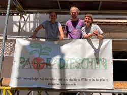 Paradieschen es geht voran
