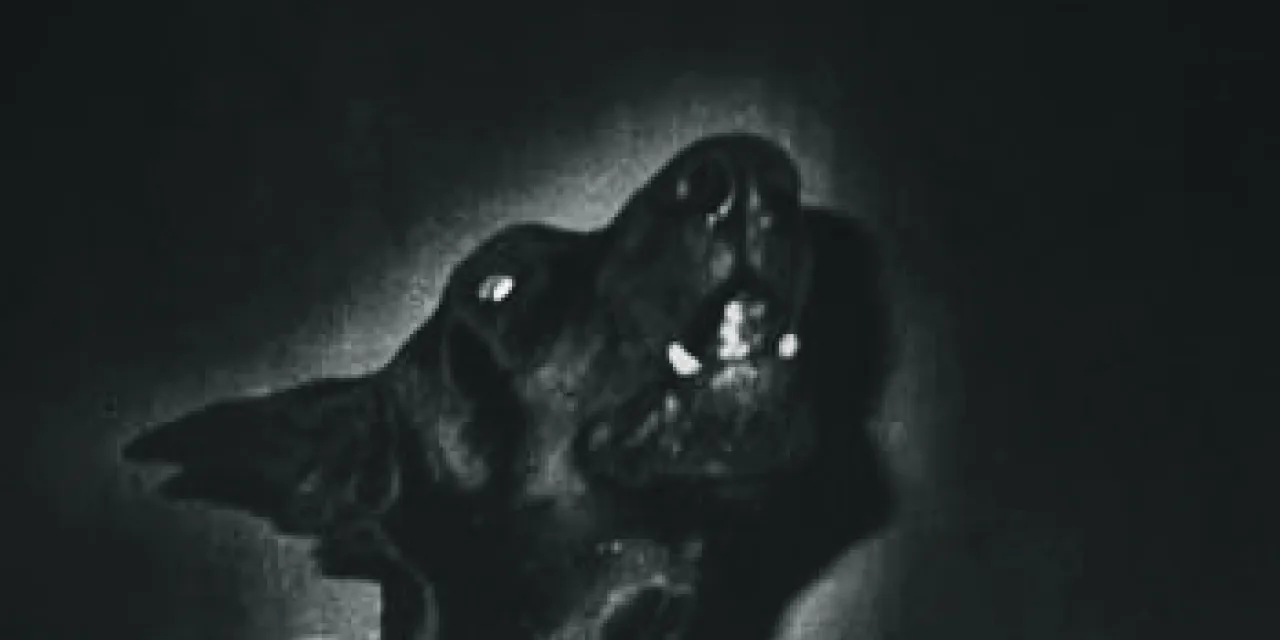 Fotodiskur Christa Näher Subreal