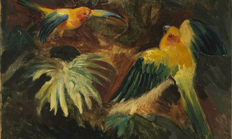 Abenteuer Brasilien Kunstsammlungen und Museen Augsburg