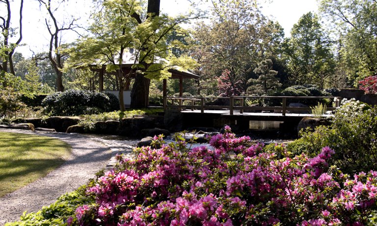 Japanischer Garten © Botanischer Garten / Stadt Augsburg
