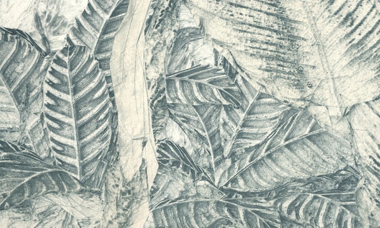 Augsburg contemporary Artificial Jungle Raw