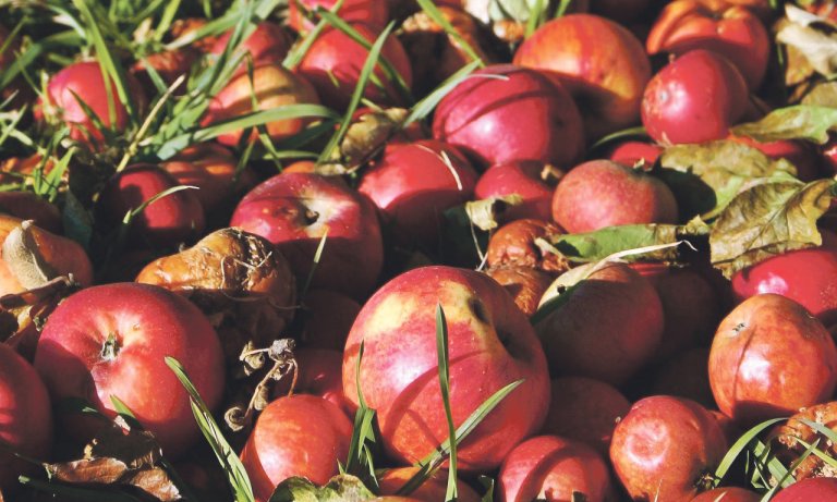 Äpfel Apple