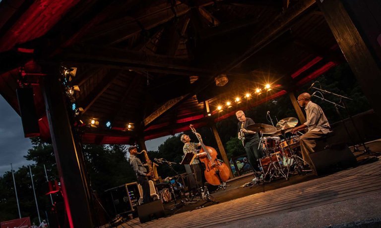 Bill Frisell beim Jazzsommer im Botanischen Garten © Herbert Heim