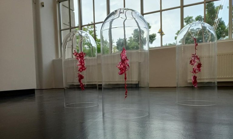 Installation Algen Glaskuppeln von Nina Radelfahr