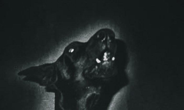 Fotodiskur Christa Näher Subreal