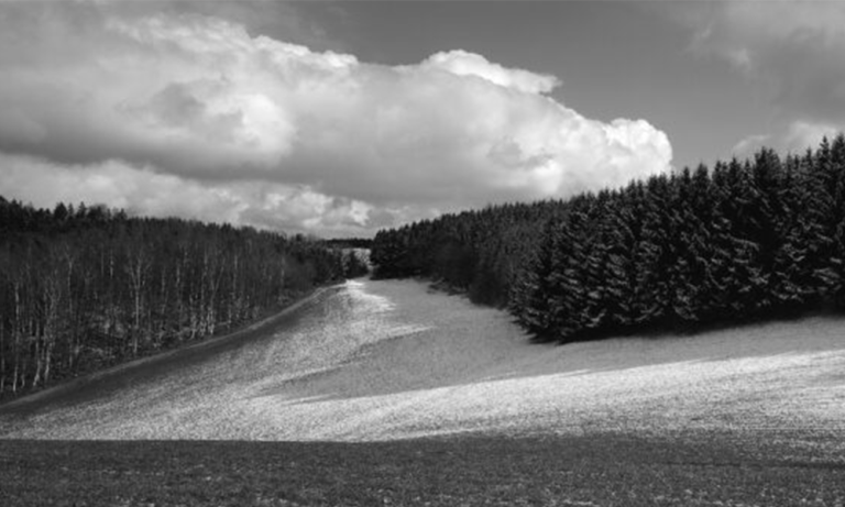 Naturfotografie von Wilfried Edelmann