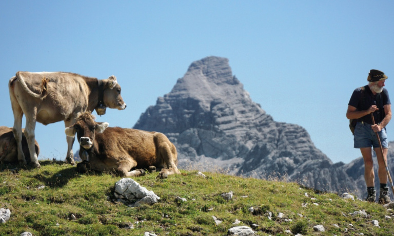 Die Alpe Wengen auf dem Koblat. Foto: Markt Bad Hindelang/Wolfgang B. Kleiner
