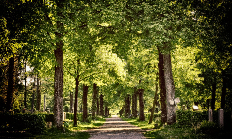 Friedhof