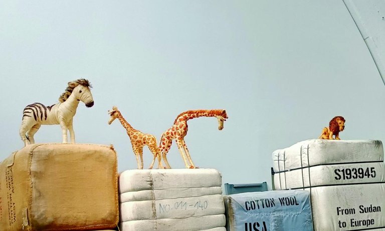 Tiere im Tim